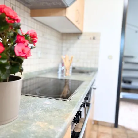 Apartamento Max Bienenwachs